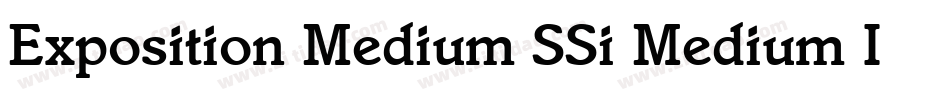 Exposition Medium SSi Medium Italic字体转换